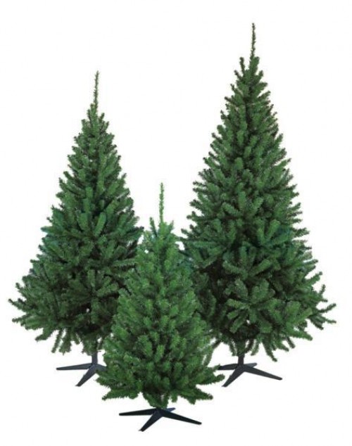 ALBERO AMAZZONIA CM210