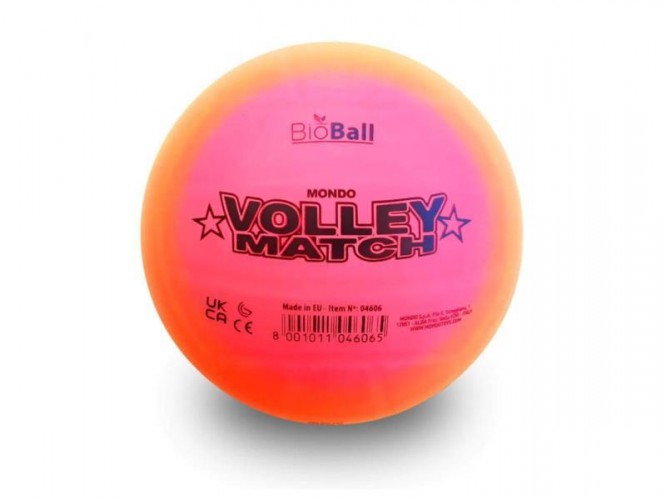 PALLONE PLASTICA VOLLEY RAINBOW