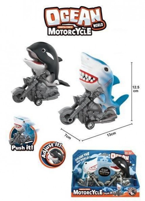 CARTELLA 2 MOTO PESCI FRIZIONE MOTORCYCLE