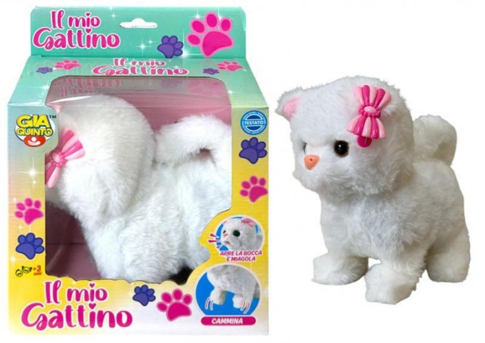 SCATOLA GATTO CAMMINA